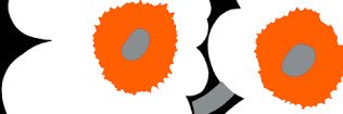RodarteItzel's profile banner image
