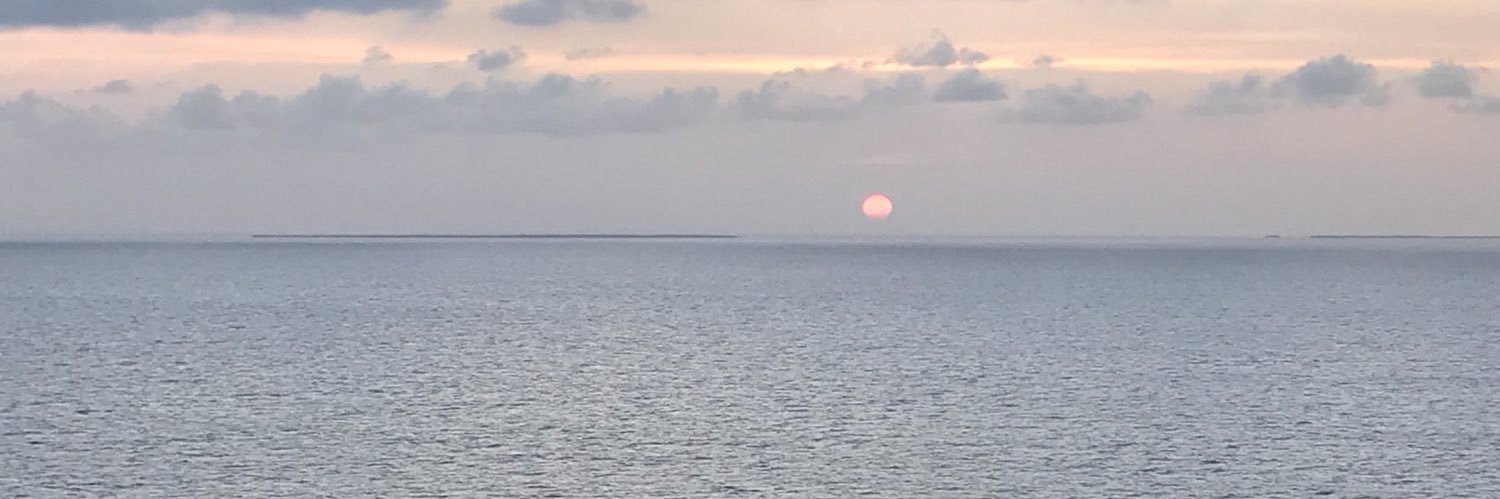 EmilyAnn0113's profile banner image