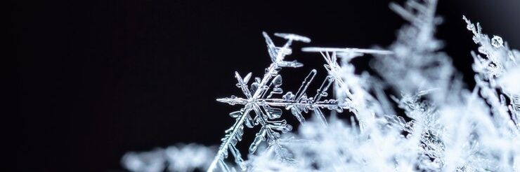 ❄Powderace❄ banner