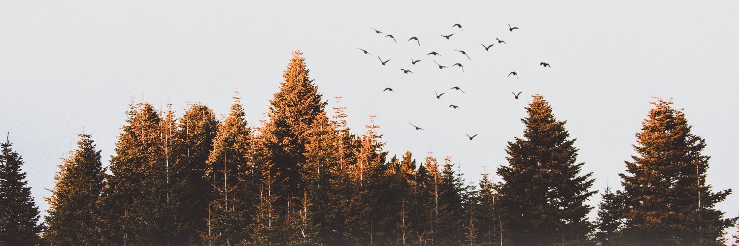 Raina Delisle banner