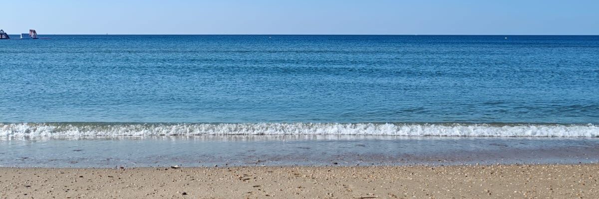 Samuel Fernández banner