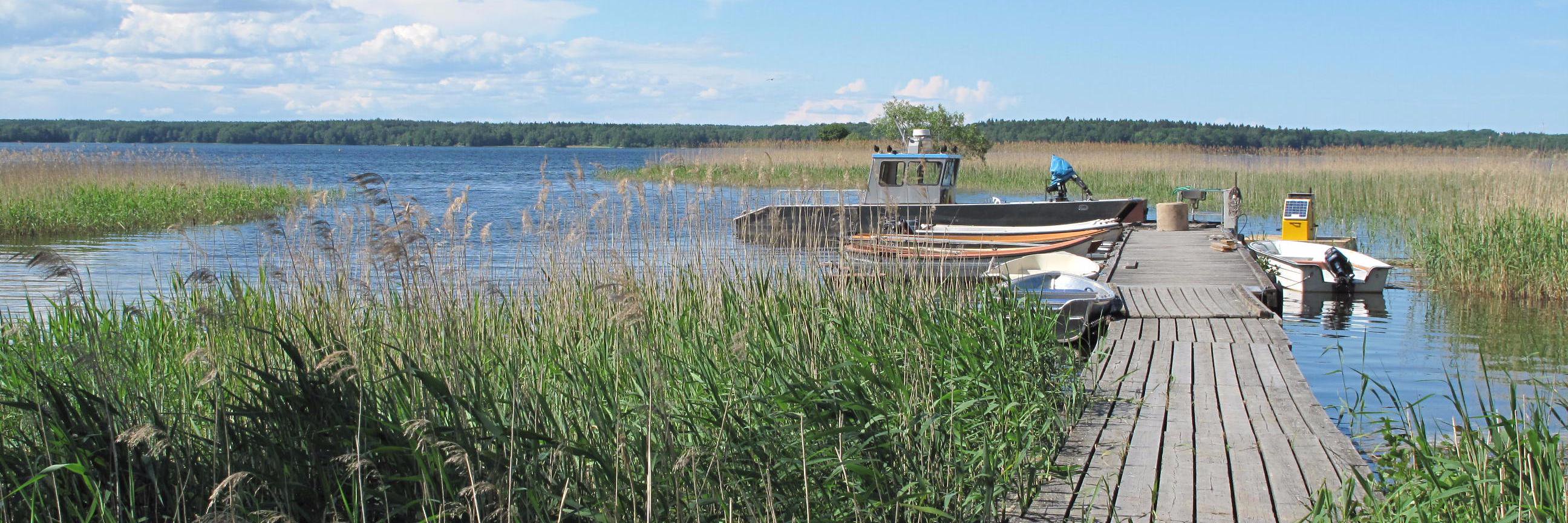 PROGNOS_project banner