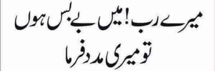 آمنہ ملک ❤️🇵🇰's banner
