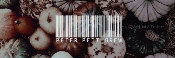 Peter Pettigrew. banner