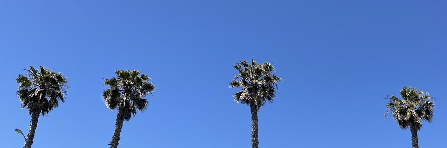 Aimee Friedman banner