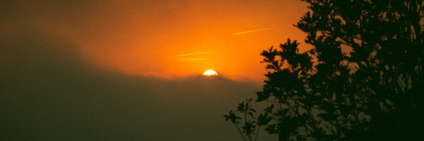 ScozSamuel's profile banner image