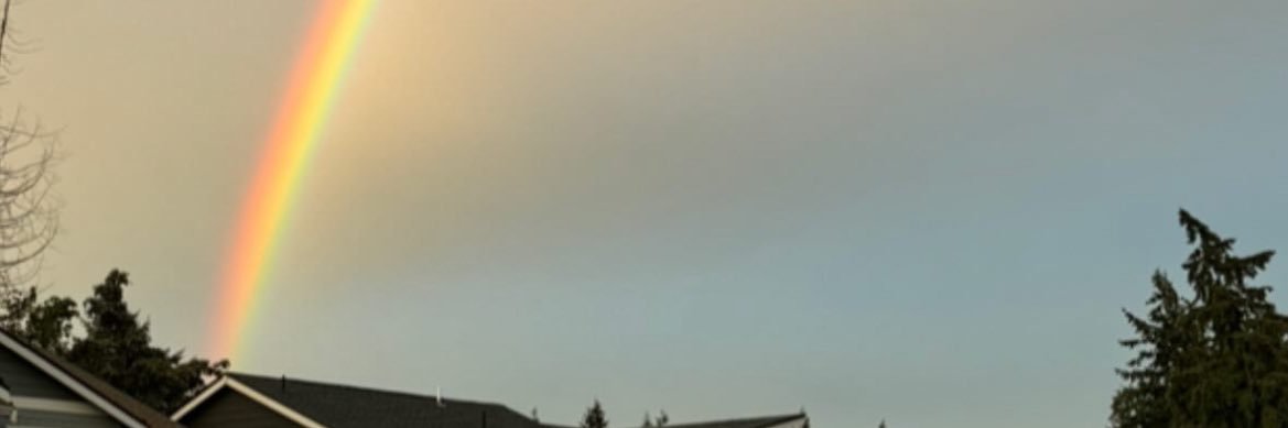 choooiya's profile banner image