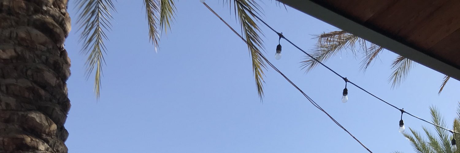 Roccopaws's profile banner image