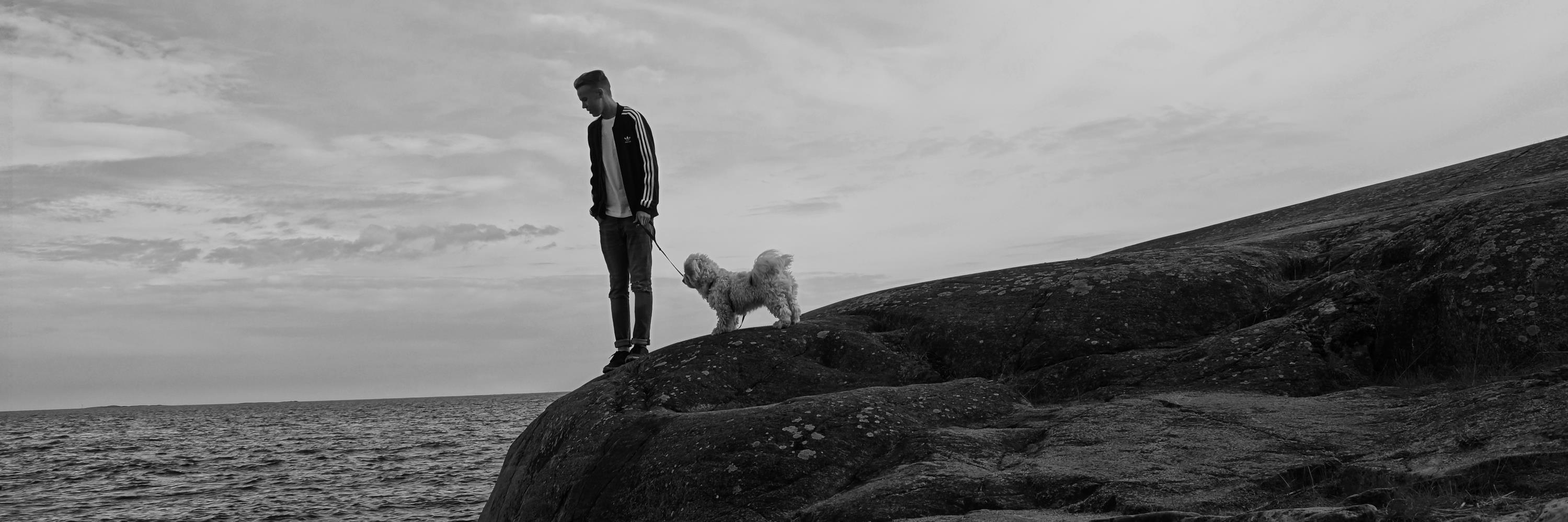 ellumove's profile banner image