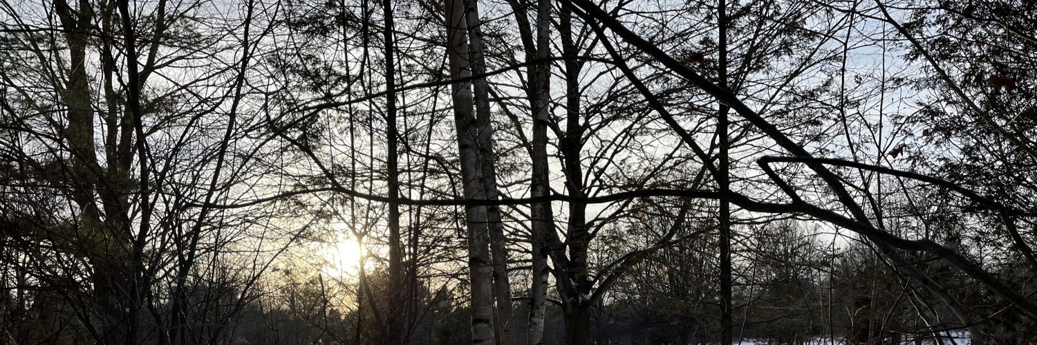 steph_howells's profile banner image