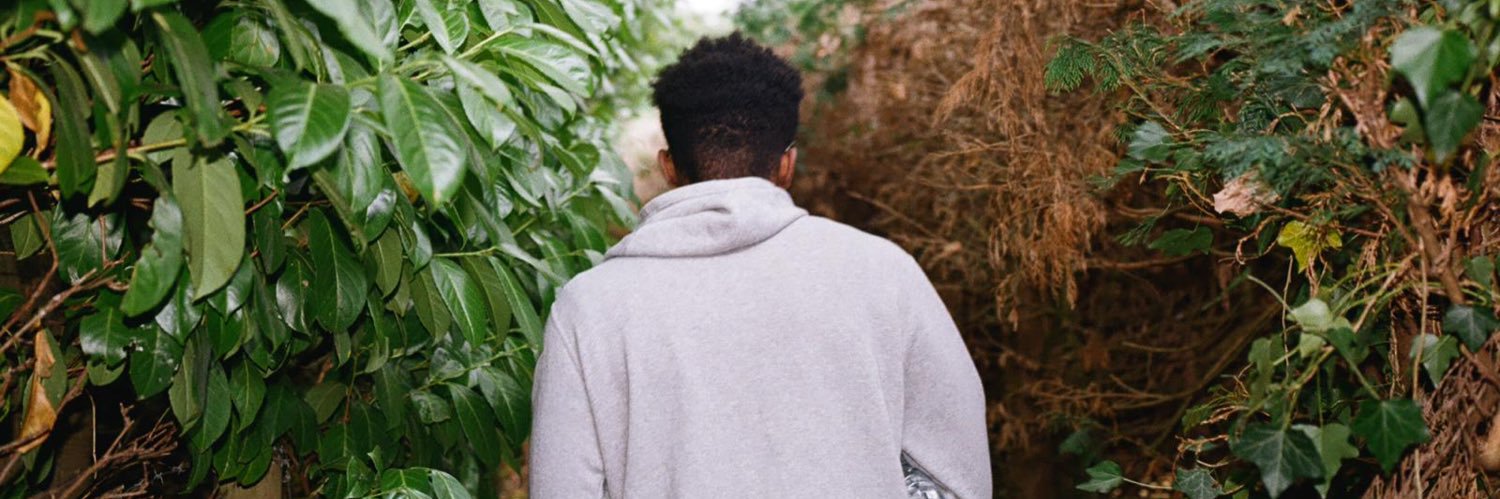 ShoNiallyx's profile banner image