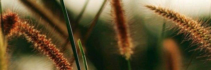 besideabhi's profile banner image