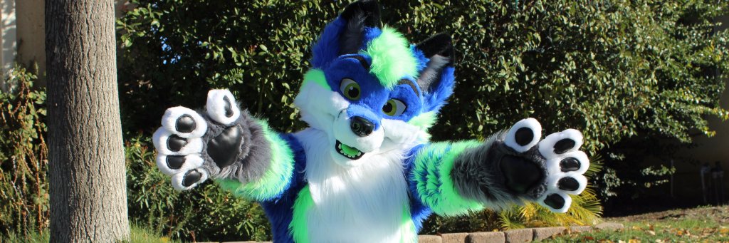 DoddsieFox's profile banner image