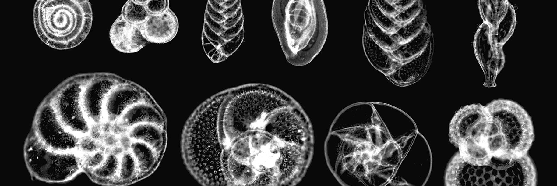 USGS Pubs Warehouse banner