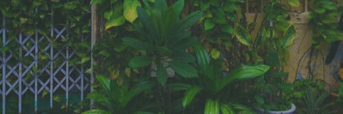 squishyhowellx's profile banner image