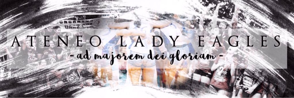 A G E N T ✨ banner
