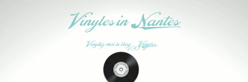 Vinyl&z moi-Le blog banner