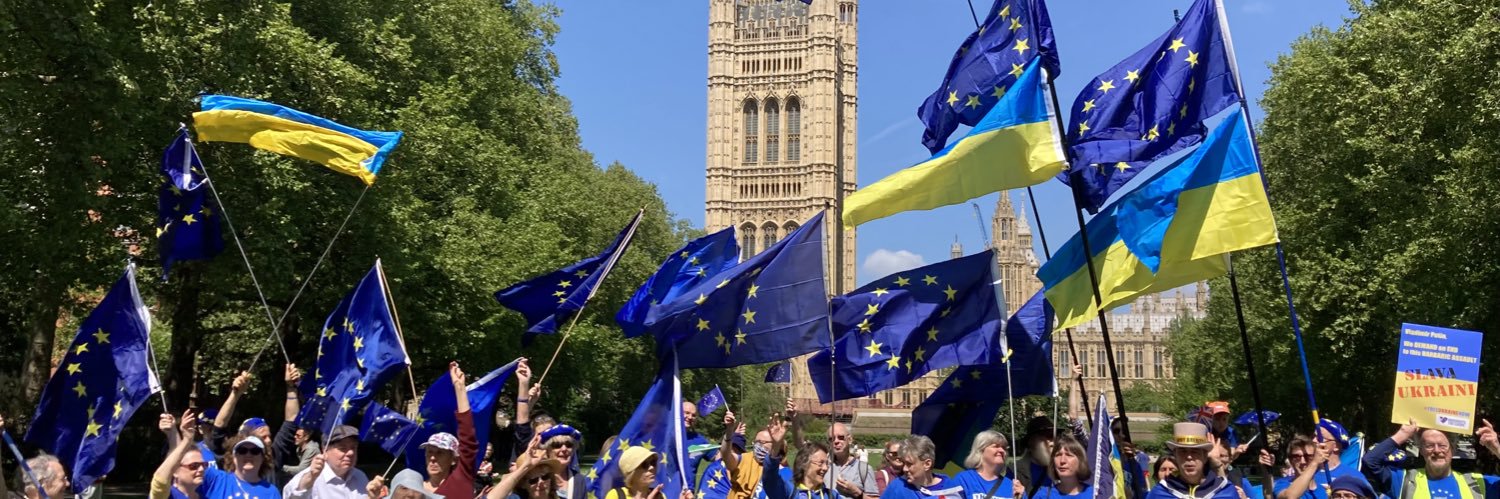 Lambeth for Europe banner