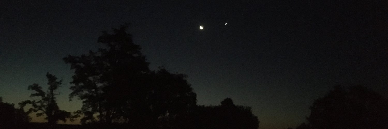 Still Upside Down banner