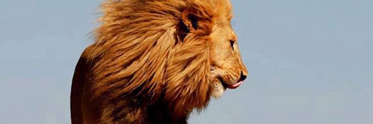 ctlakedi's profile banner image