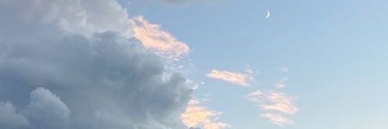 N🌻sara banner