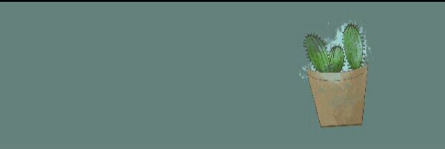 tduffmaggie's profile banner image