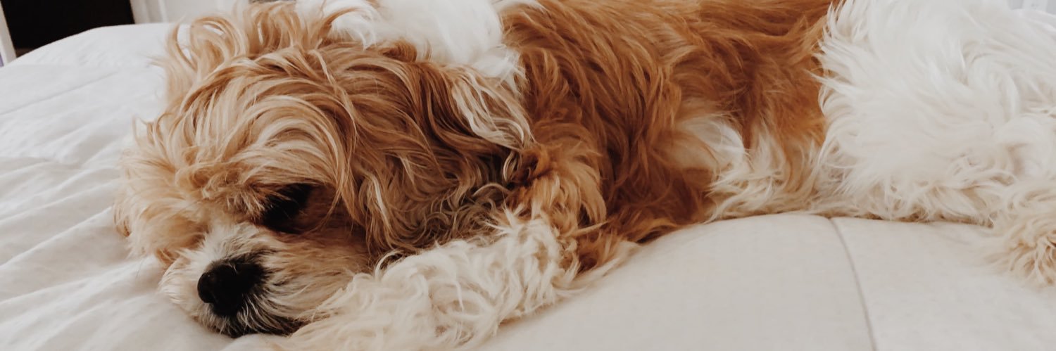 jillifphillips's profile banner image