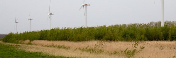 FlakkeeNieuws Profile Banner