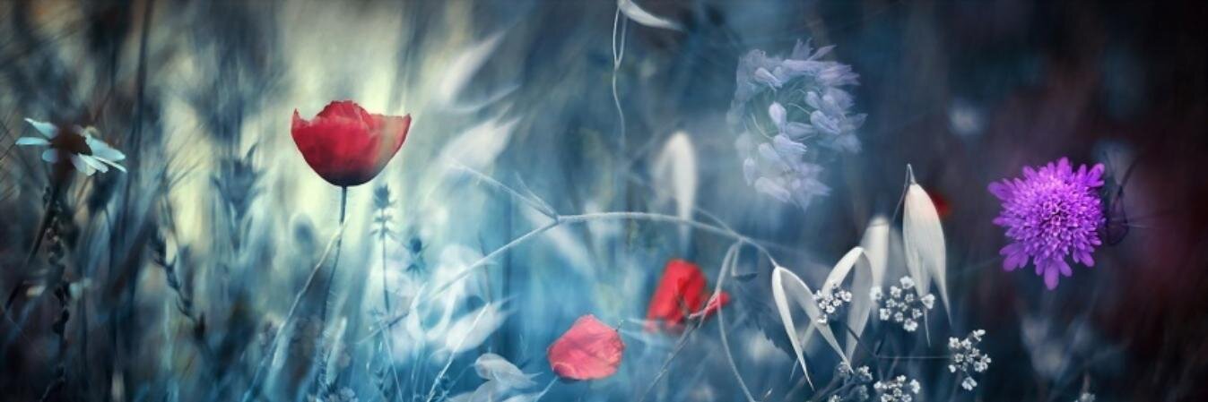 CandyJT's profile banner image