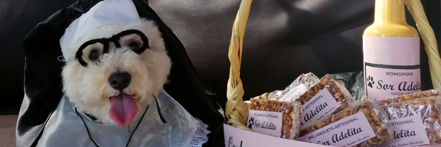 SandraRojasC's profile banner image