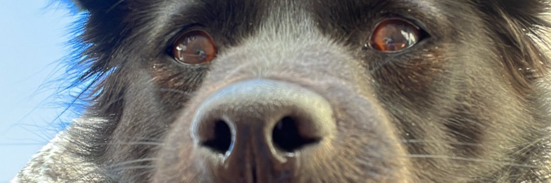 claramaru_'s profile banner image