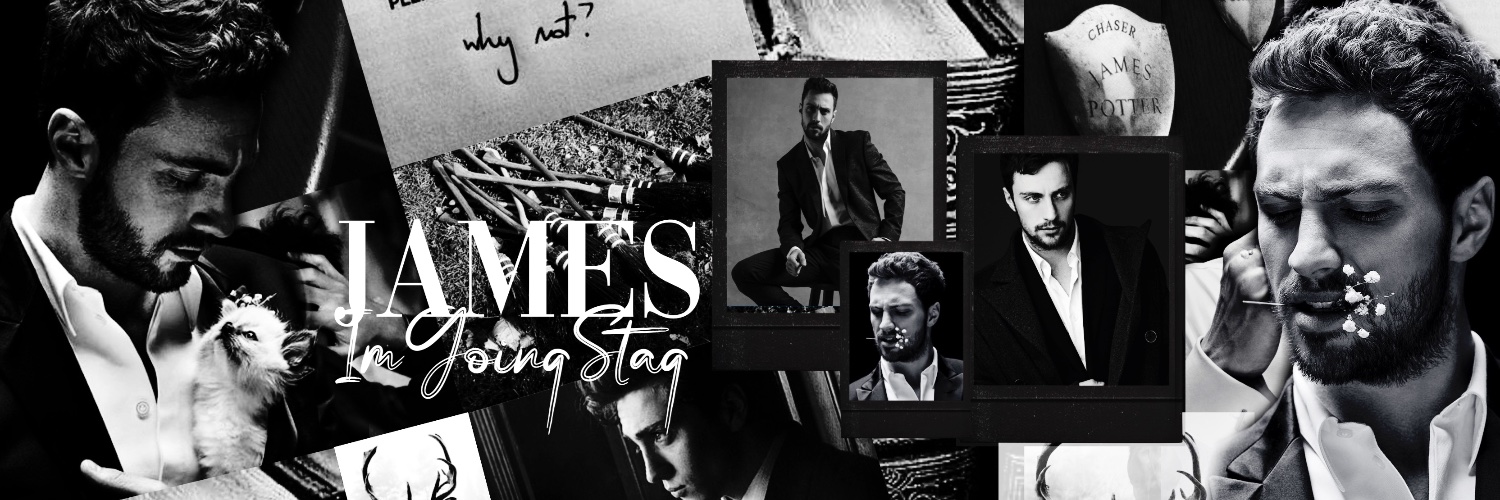 lmGoingStag's profile banner image