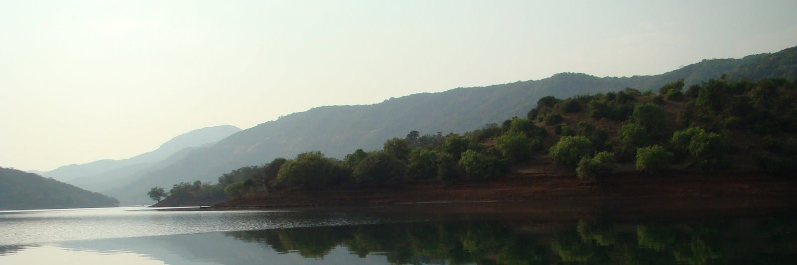 zninad's profile banner image