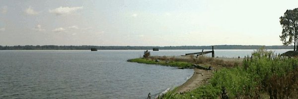 snc20165 Profile Banner