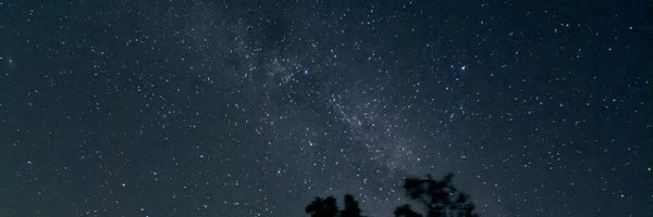 mintsauce1982 Profile Banner