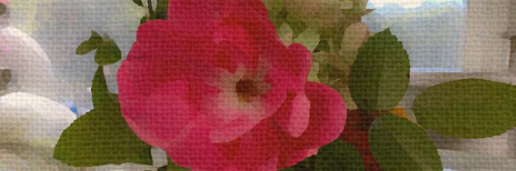 Jinn55's profile banner image