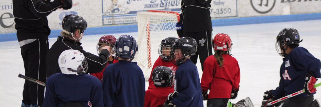 Suburban Ice FH banner