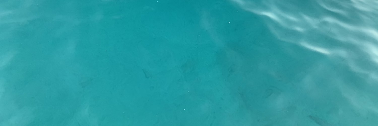 Gini Simpson she/her banner