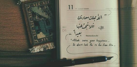 Menna_Tullah22's profile banner image