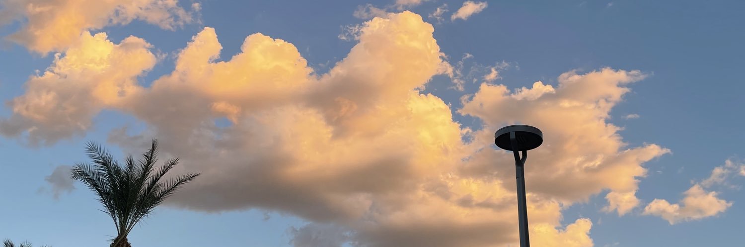 princessbre134's profile banner image
