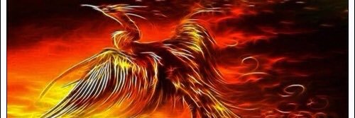 tripkizi's profile banner image