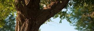 johnshau's profile banner image
