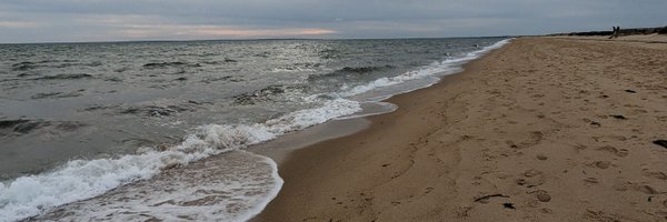 waquoitwonder Profile Banner