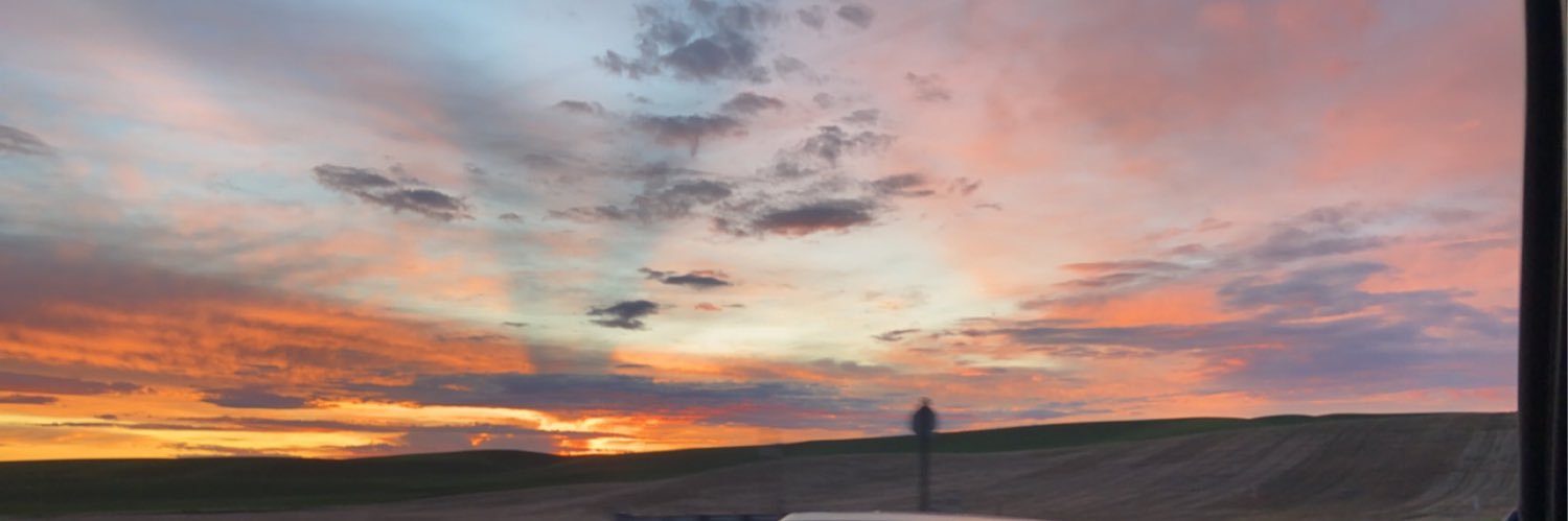 LionelloDillon's profile banner image