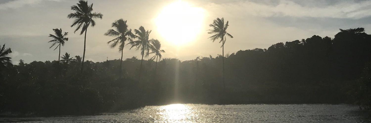 maristonmenezes's profile banner image
