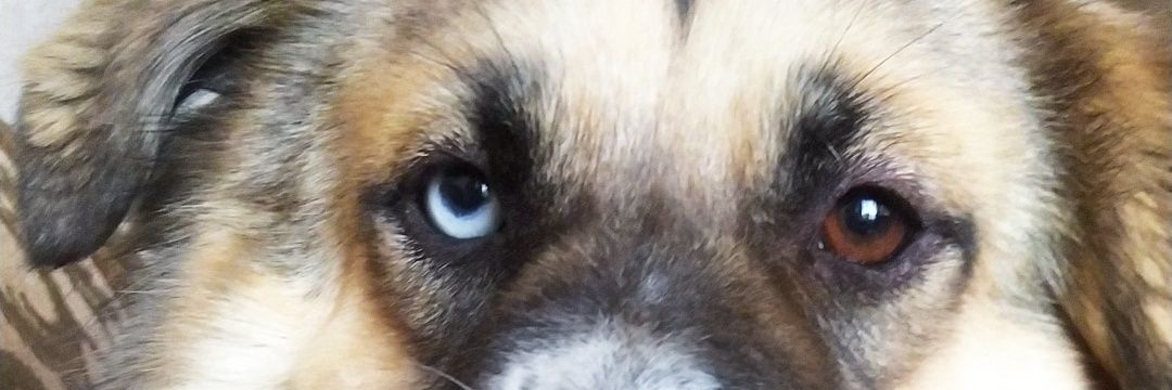 stephchacon1111's profile banner image