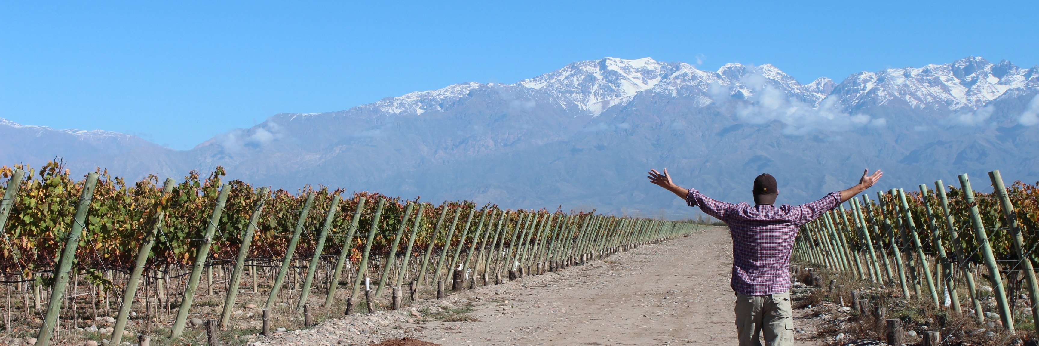 MaalWines's profile banner image