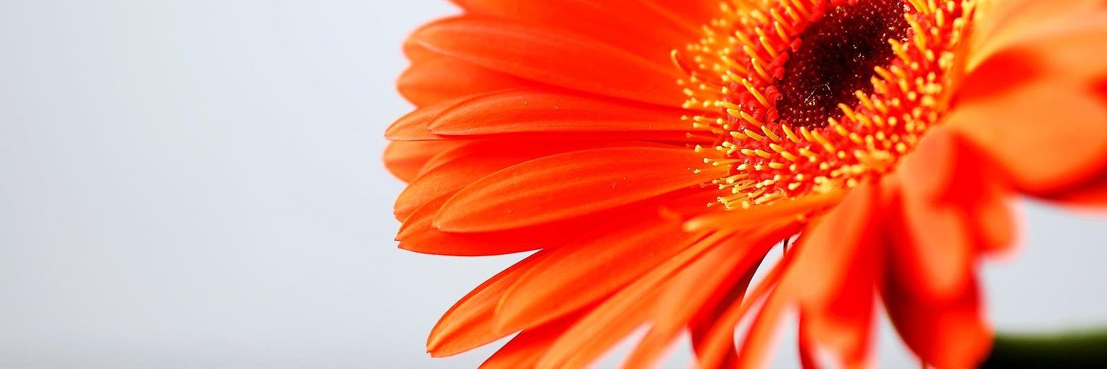 59Dugas's profile banner image