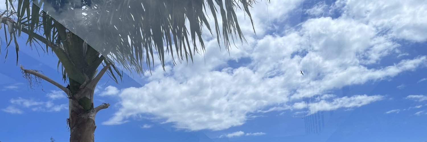 amusedMe's profile banner image