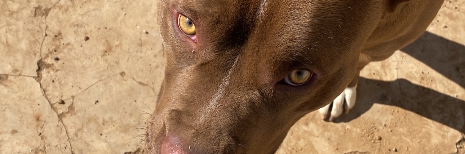 TumeloLebea's profile banner image